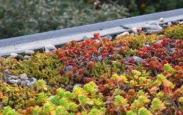 the cost of Gautby green roof installation