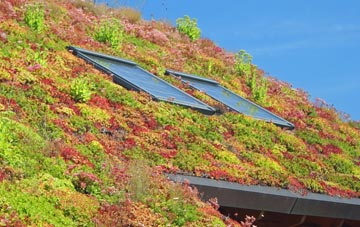 Gautby living roof systems